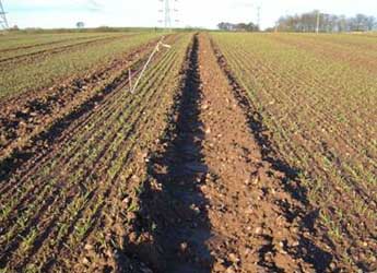 Field tramlines where almost 90% of phosphorus is lost from soil ©Blair McKenzie