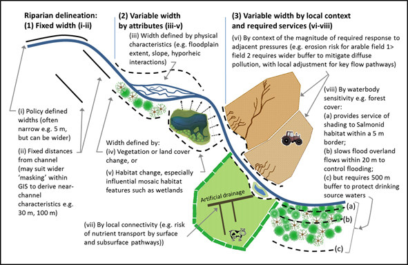 Delineating Critical Zones Of Riparian Processes And Setting Effective