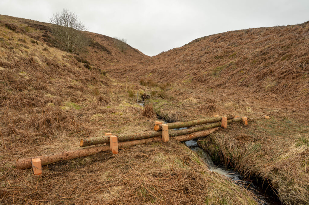 Natural flood management