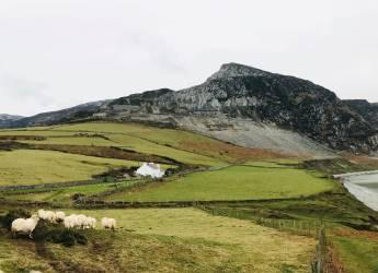 Scotland’s Land Reform Futures