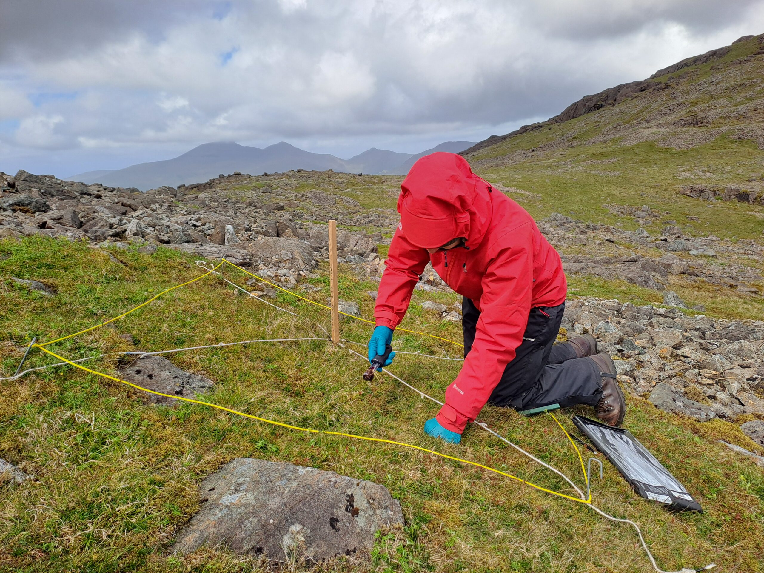 Nitrogen Impacts in Natural Ecosystems (NINE)