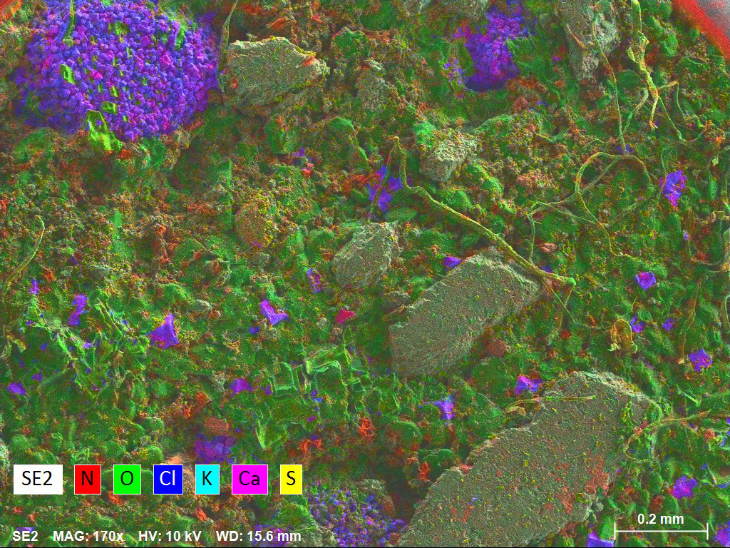 SEM map