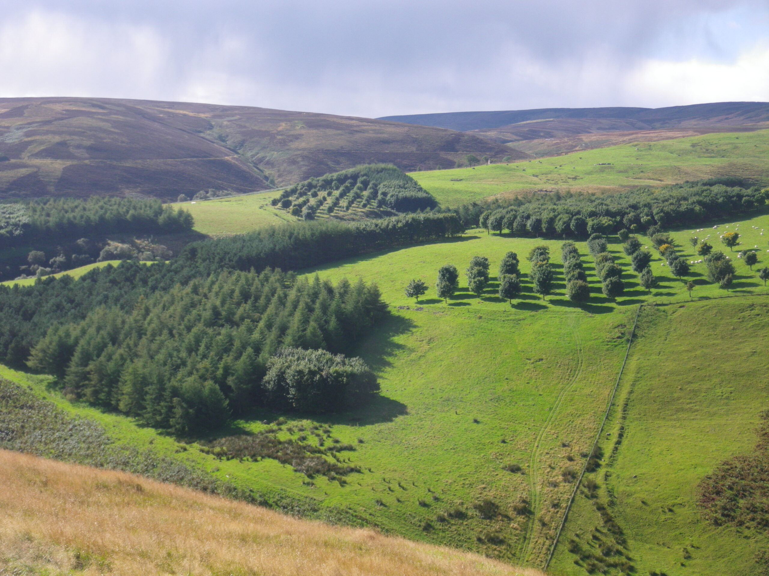 HydroGlen  Glensaugh