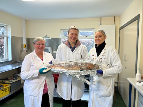 Water and salmon samples collected from River Dee during post-spawning period 
