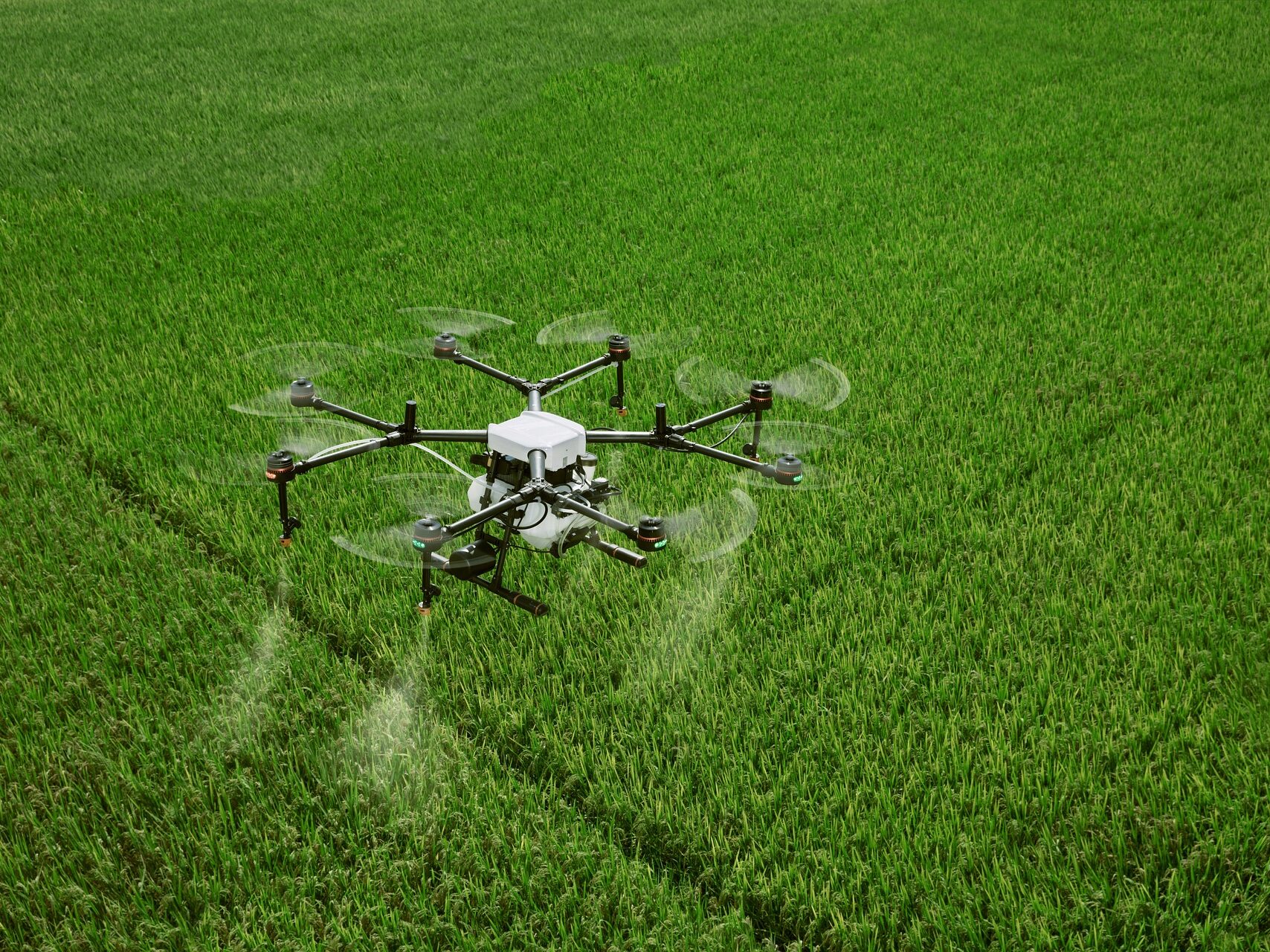 Drone sprinkling in field  pest control