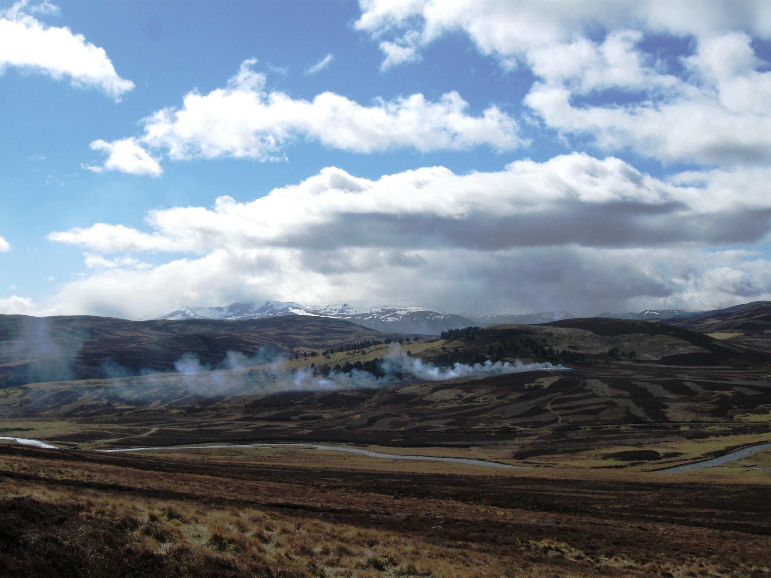 Heather burning, Glen Gairn.