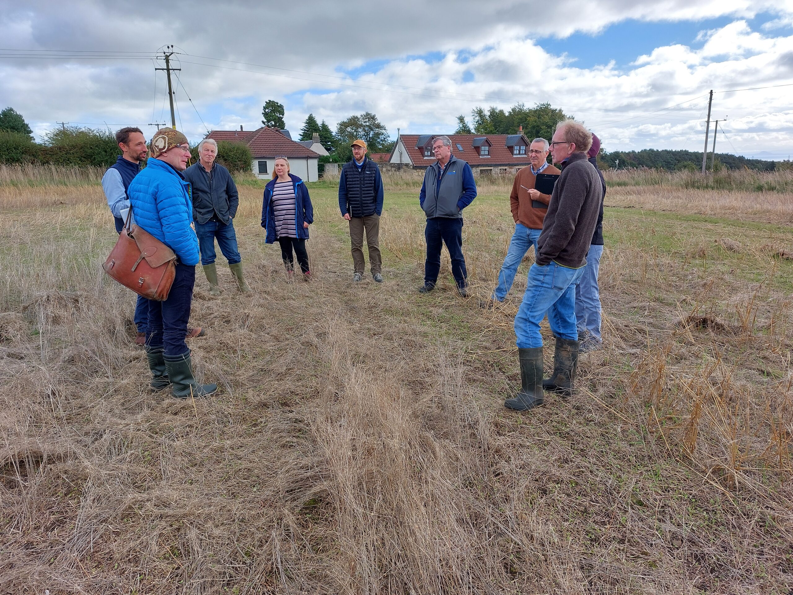 Sustainable and Regenerative Agricultural workshop. image shows people standing in wheat bean crop