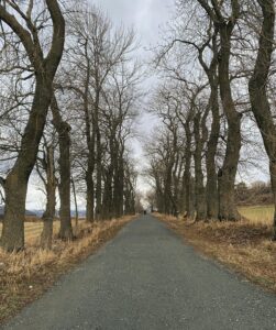 December 2024 was the joint fifth warmest December in 70 years