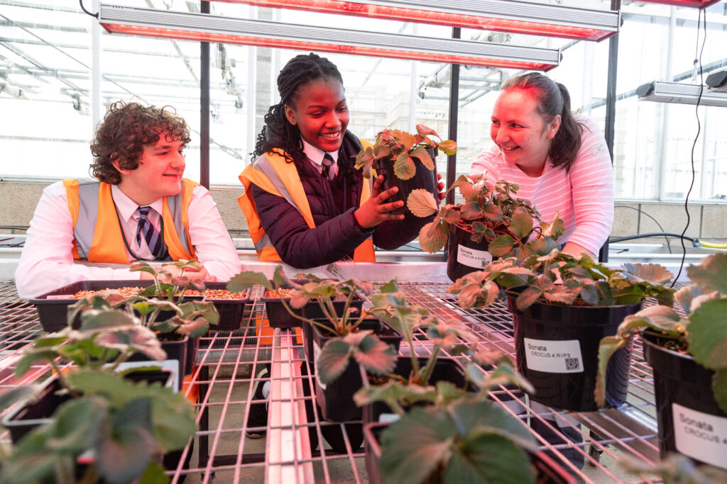 Pupils Michael Ross (left) and Menite Okoye-John with Alison Dobson, Plant Production Technician in one of the glasshouses with plants under controlled lighting. Picture Paul Reid